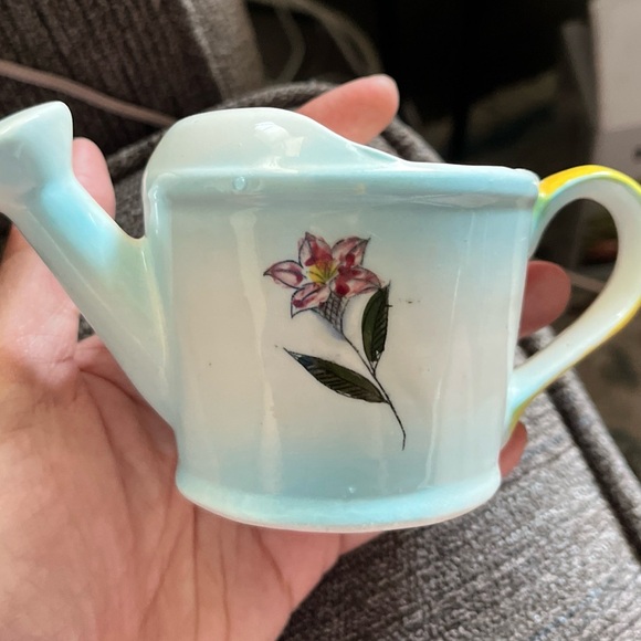 Mini Watering Pot - Picture 4 of 9